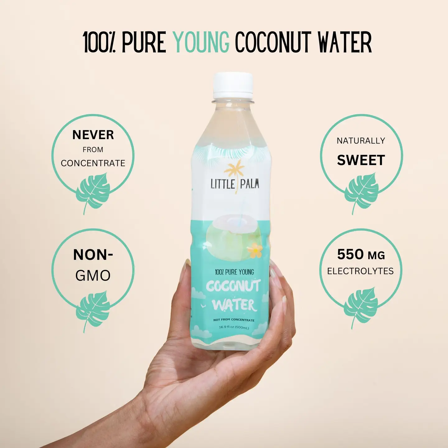 Little Palm Young Coconut Water 16.9 oz - Natural Hydration